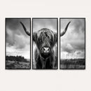 Scottish Cow Wall Art Canvas Print | Longhorn Wall Art |