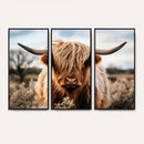Scottish Cow Longhorn Wall Art Canvas Print