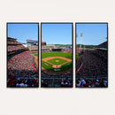 Cincinnati Reds Baseball Canvas Print - American Ball