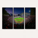 Houston Astros Baseball Print Canvas - Houston Minute Maid