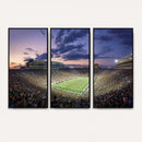 Notre Dame Fighting Irish Football Team Print - Notre Dame