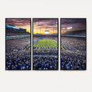Kroger Field Wall Art Print - Kentucky Stadium Wall Art