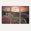 Indiana Memorial Stadium Wall Art Canvas Print, Framed
