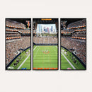 Chicago Bears Soldiers Field Wall Art Canvas Print – Framed