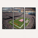 Chicago Bears Soldiers Field Wall Art Canvas Print – Framed