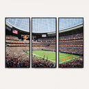 Chicago Bears Soldiers Field Wall Art Canvas Print – Framed