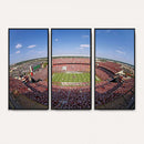 William Brice Stadium Wall Art Canvas Print – Stadium Crowd