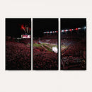 William Brice Stadium Wall Art Print – Baseball Game Room