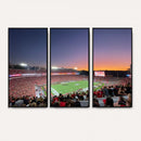 Dooley Stadium Wall Art, Sports Arena Canvas Print, Dooley