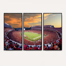 Dooley Stadium Wall Art, Sports Arena Canvas Print, Dooley