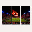 Auburn Stadium Wall Art Canvas Print, College Football Night