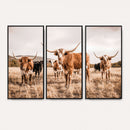 Texas Longhorn Cattle Wall Art Canvas Print, Sepia Western