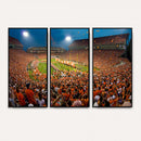 Clemson Tigers Memorial Stadium Wall Art Canvas Print