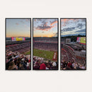 Donald W. Reynolds Razorback Stadium Wall Art Canvas Print –