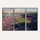 Donald W. Reynolds Razorback Stadium Wall Art Canvas Print –