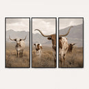 Rustic Texas Longhorn Cow Canvas Wall Art Print, Rustic Farm Animal Photography Print, Farmhouse Country Decor, Western Ranch Art