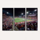 Mississippi State Bulldogs Stadium Wall Art Canvas Print –