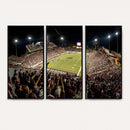 Washington-Grizzly Stadium Canvas Wall Art – Exciting Game