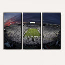 Penn State University Nittany Lions Football Team Print -