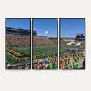 University of Missouri Tigers Football Team Print - Columbia