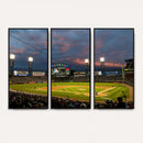 Chicago White Sox Baseball Team Print Canvas- Guaranteed