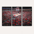 Louisville Cardinals Basketball Print Canvas - Louisville