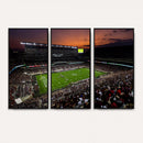 Texas A&M University Aggies Football Team Print - College