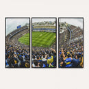 Boca Juniors Soccer Team Print Wall Art - Buenos Aires