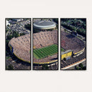 Michigan Wolverines Football Team Print - Ann Arbor Michigan