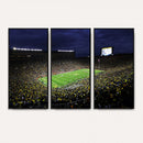 Michigan Wolverines Football Canvas Wall Decor, Football