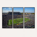 Notre Dame Fighting Irish Football Team Print - Notre Dame