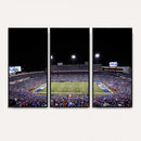 Buffalo Bills Wall Art - Buffalo Bills Stadium Canvas Print,