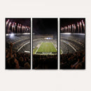 Eagles Field Stadium Wall Art - Philadelphia Eagles Football