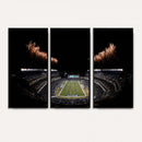 Eagles Field Stadium Wall Art | Philadelphia Eagles Football
