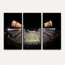 Eagles Field Stadium Wall Art - Lincoln Financial Field