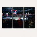 Rogers Arena Vancouver Canucks Ice Hockey Stadium Wall Art,
