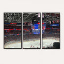 Washington Capitols New York Rangers Ice Hockey Game Stadium