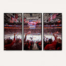 Carolina Hurricanes Ice Hockey Stadium Wall Art, Carolina