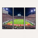 NC State Wolfpack Canvas Print - Raleigh Carter-Finley