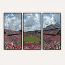 NC State Wolfpack Football Team Print Canvas- Raleigh