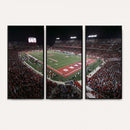 Houston Cougars Football Team Print - Houston TDECU Stadium