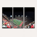 Houston Cougars Football Team Print - Houston TDECU Stadium
