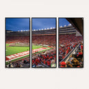 Wisconsin Badgers Football Team Print - Madison Camp Randall