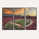 Camp Randall Stadium Wisconsin Badgers Large Wall Art Canvas