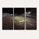 Wisconsin Badgers Football Team Print - Madison Camp Randall