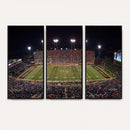 Demon Deacons Print Canvas, Football Team Print -