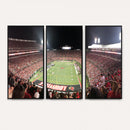 University of Louisville Cardinals Football Team Print -