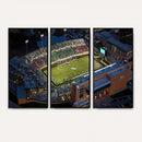 University of North Texas Mean Green Football Artwork,