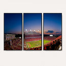 Wolfpack Football Team Wall Art Print - Raleigh