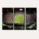 Florida Atlantic University Owls Football Team Print - Boca